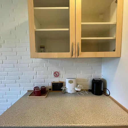 Apartment 5 Min Walk To Lego House - With Private Bathroom N4 Billund